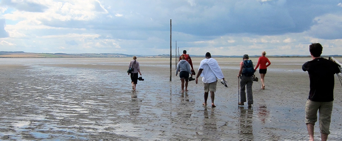 beach-trek beach-trek
